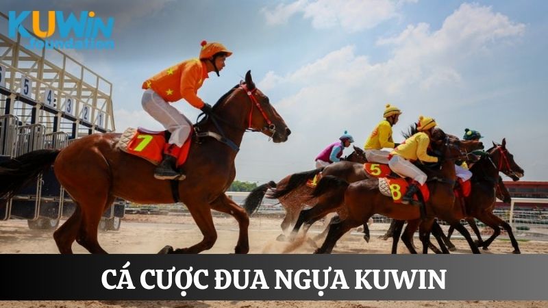 Thể thao Kuwin: Nhận code tân thủ thỏa mãn đam mê cá cược 3 Cá cược đua ngựa online với đa dạng kèo thơm, xanh chín