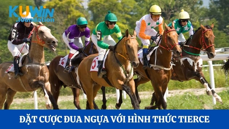 Tham gia cá cược đua ngựa đầy kịch tính tại nhà cái Kuwin 3 Đặt cược đua ngựa với hình thức Tierce tại Kuwin