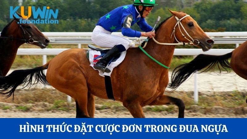 Tham gia cá cược đua ngựa đầy kịch tính tại nhà cái Kuwin 2 Hình thức cược đơn trong cá cược đua ngựa