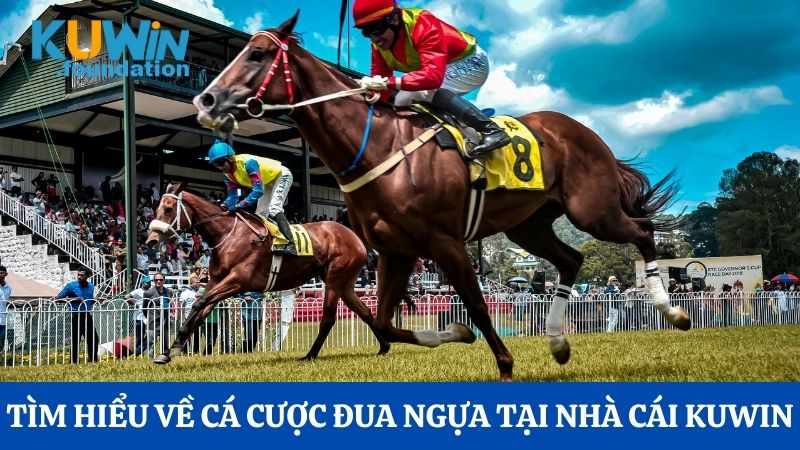 Tham gia cá cược đua ngựa đầy kịch tính tại nhà cái Kuwin 1 Tìm hiểu về cá cược đua ngựa tại nhà cái Kuwin